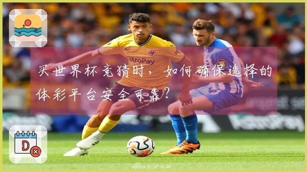 买世界杯竞猜时，如何确保选择的体彩平台安全可靠？