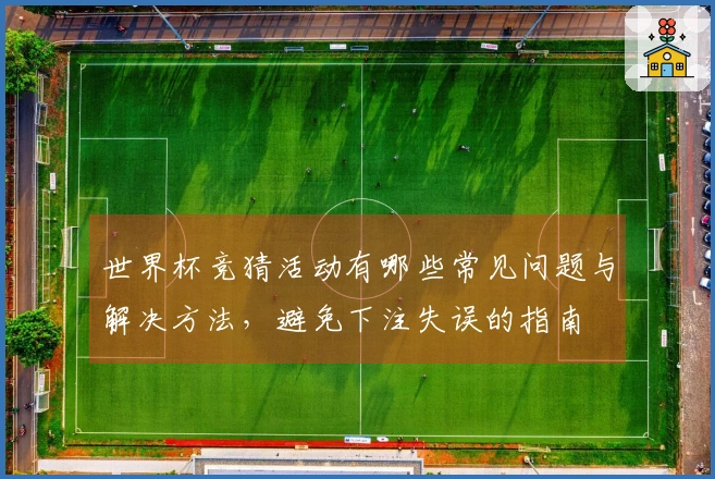 世界杯竞猜活动有哪些常见问题与解决方法，避免下注失误的指南