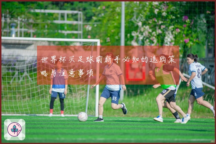 世界杯买足球前新手必知的选购策略与注意事项