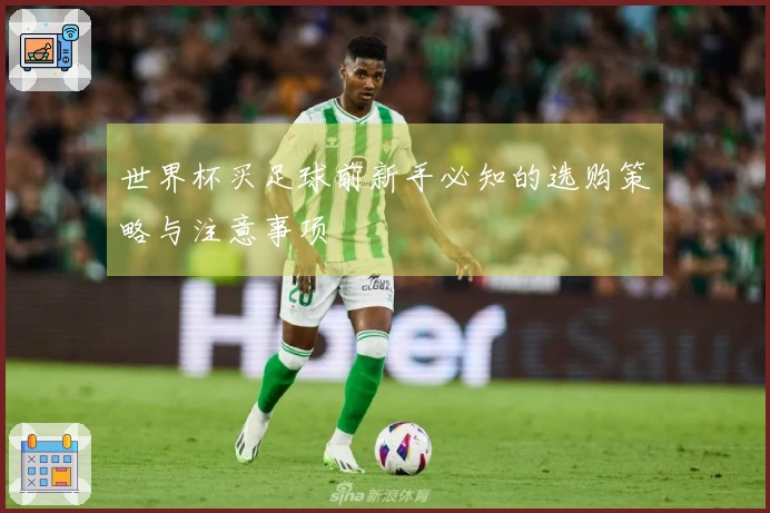 世界杯买足球前新手必知的选购策略与注意事项