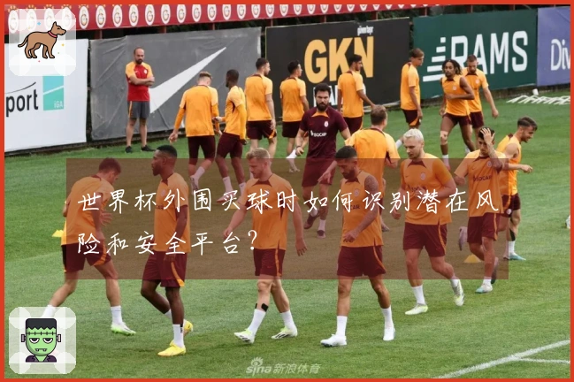 世界杯外围买球时如何识别潜在风险和安全平台？