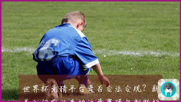 世界杯竞猜平台是否合法合规？新手入门前必看的注意事项与判断标准