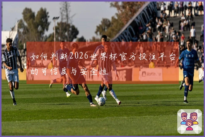 如何判断2026世界杯官方投注平台的可信度与安全性