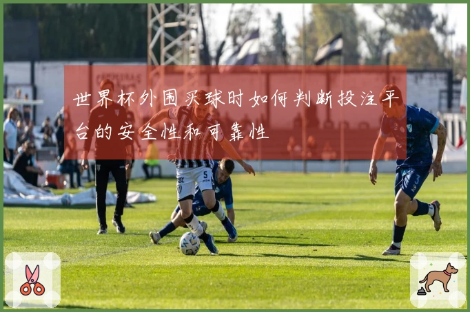 世界杯外围买球时如何判断投注平台的安全性和可靠性